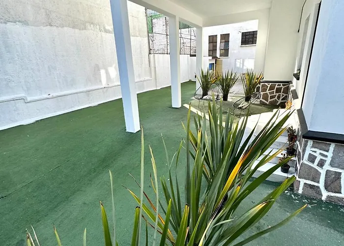 Large, Bright 1 Apartment
