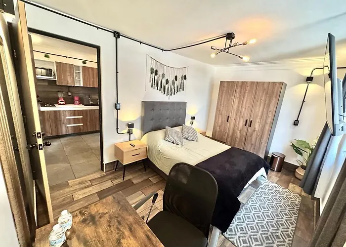 Large, Bright 1 Apartment Mexico City