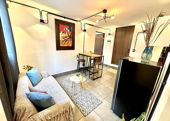 Large, Bright 1 Apartment