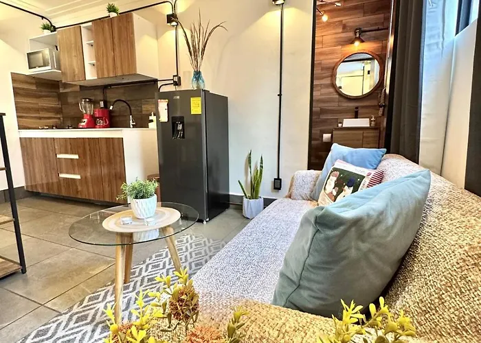 Apartment Large, Bright 1 Mexico City
