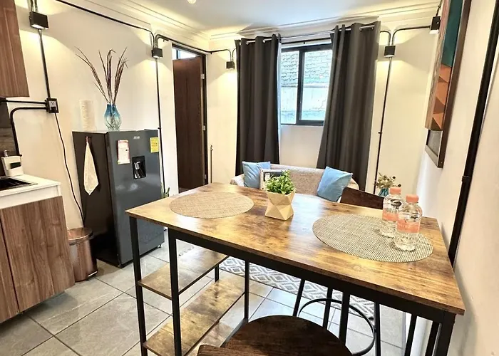 Apartment Large, Bright 1 Mexico City